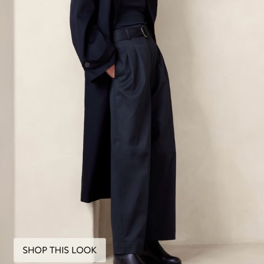 Banana Republic Dark Blue Ankle Length Chino Pants